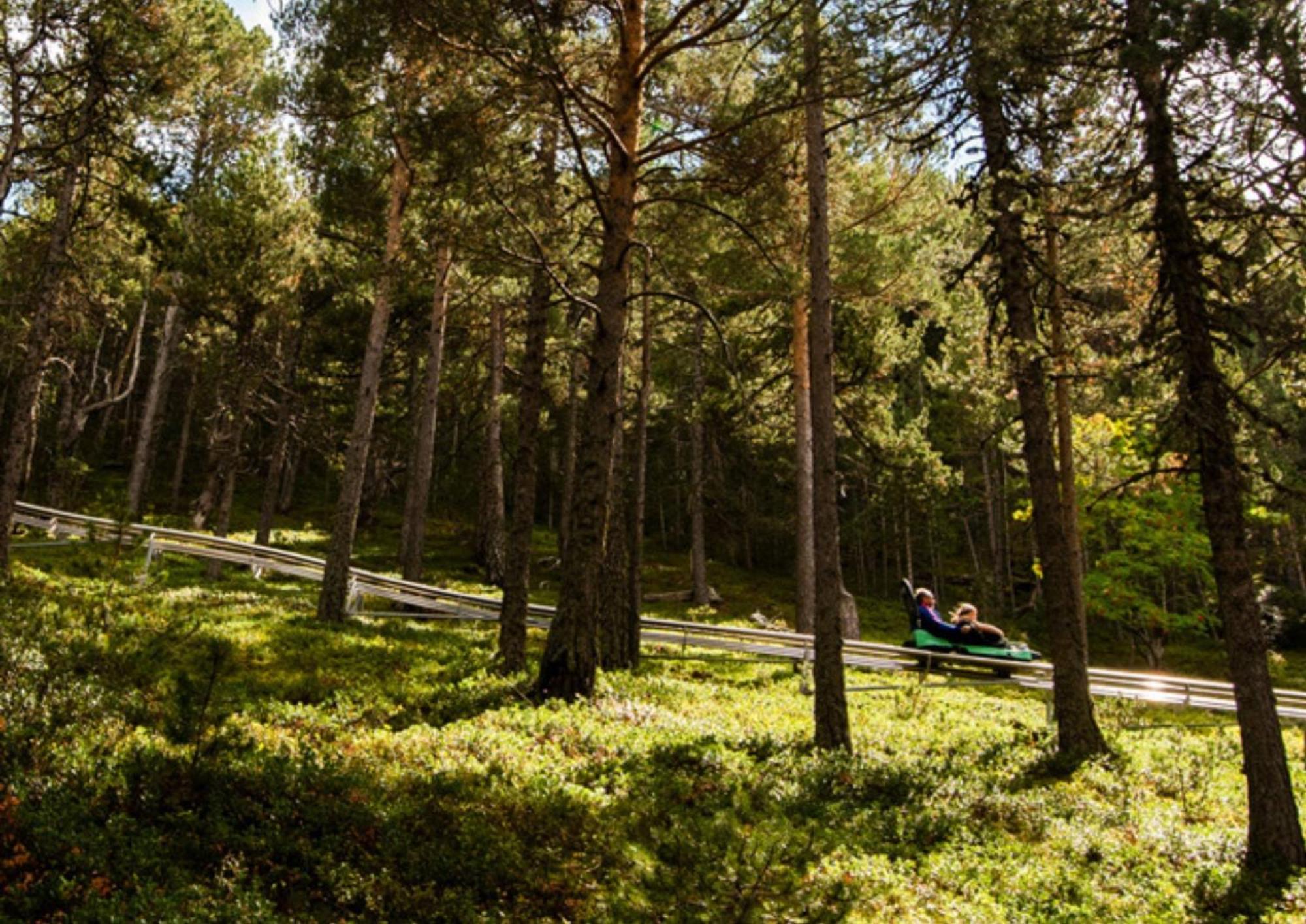 Apartamento Moderno El Bosque En Arinsal Buitenkant foto